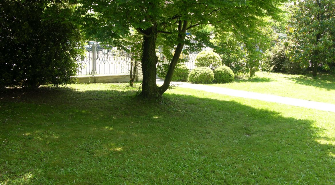 438.foto31