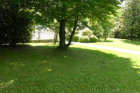 438.foto31
