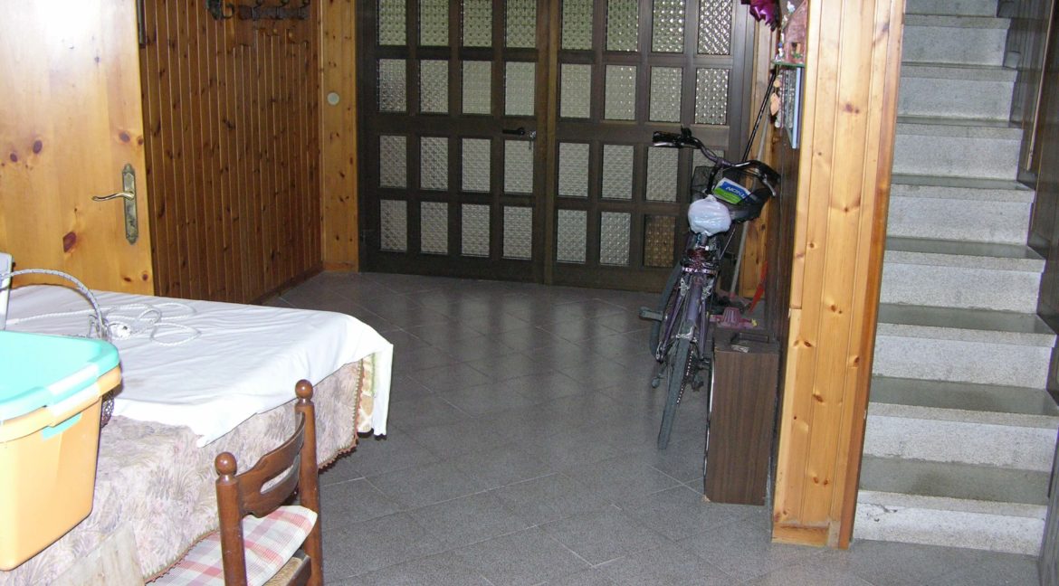 546.foto01