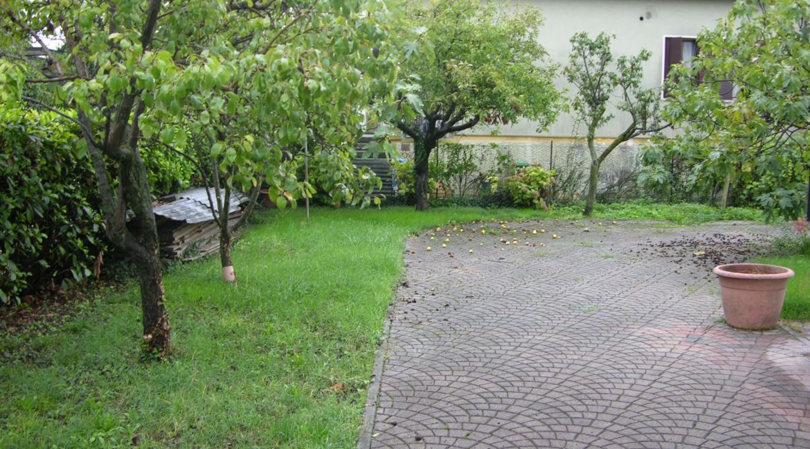 546.foto10