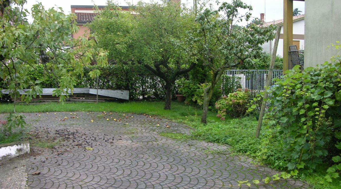 546.foto15