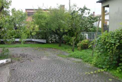 546.foto15