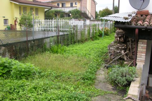546.foto16